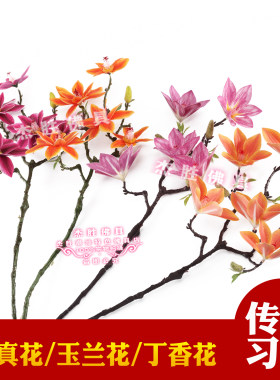 同款玉兰花丁香花枝桃花仿真假花