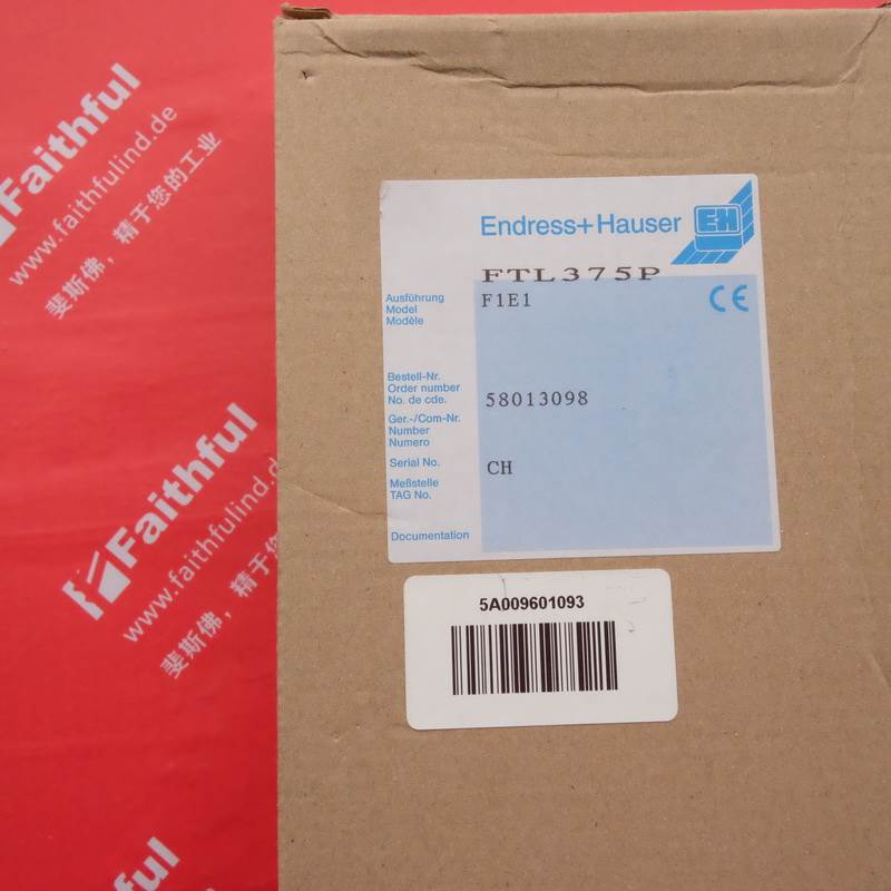 E+H FTL375P-F1E1 恩德斯豪斯液位检测 nivotseter FTL 375P