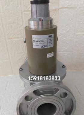 SG50FS220施能慢开电磁阀