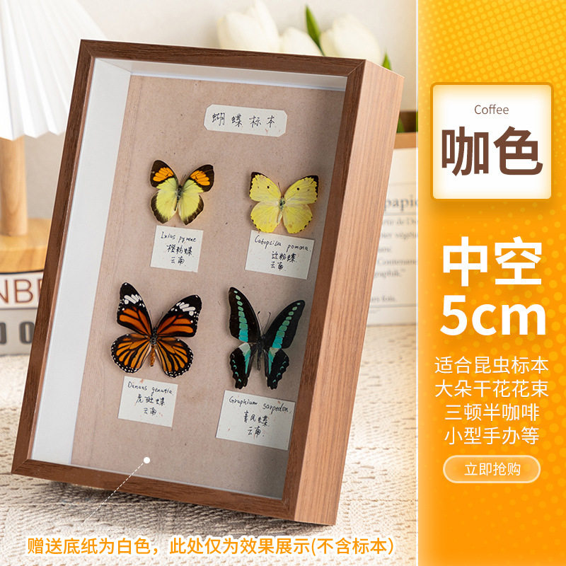 立体中空5厘米干花相框贝壳满天星蝴蝶永生花8寸摆台手工diy画框