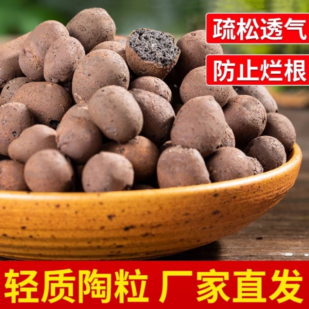 空心花卉垫底陶粒养花用防烂根透气花盆垫底铺面石多肉铺面土陶粒