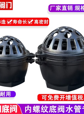 抽水泵底阀 内螺纹丝扣吸水阀 铸铁止回阀 DN25 40 50 65 80 100
