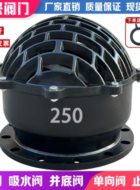 H42X-6法兰底阀 单向阀止回阀 铸铁水泵底阀DN50 80 100 150 200