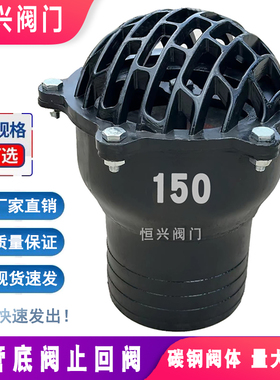 插管底阀止回阀单向阀碳钢水泵抽水吸水阀升降式花篮头莲蓬头底阀