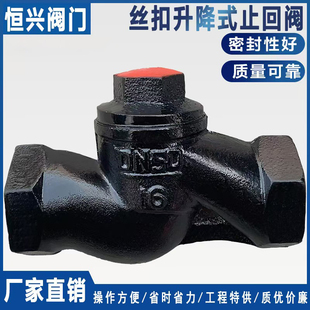 止回阀 铸铁内牙丝扣单向阀DN25 H11T 6分 卧式 1寸 16升降式