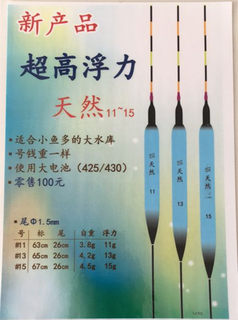 天然电子漂夜光漂韩国原装超大浮力夜钓漂大物漂醒目鱼漂水库漂