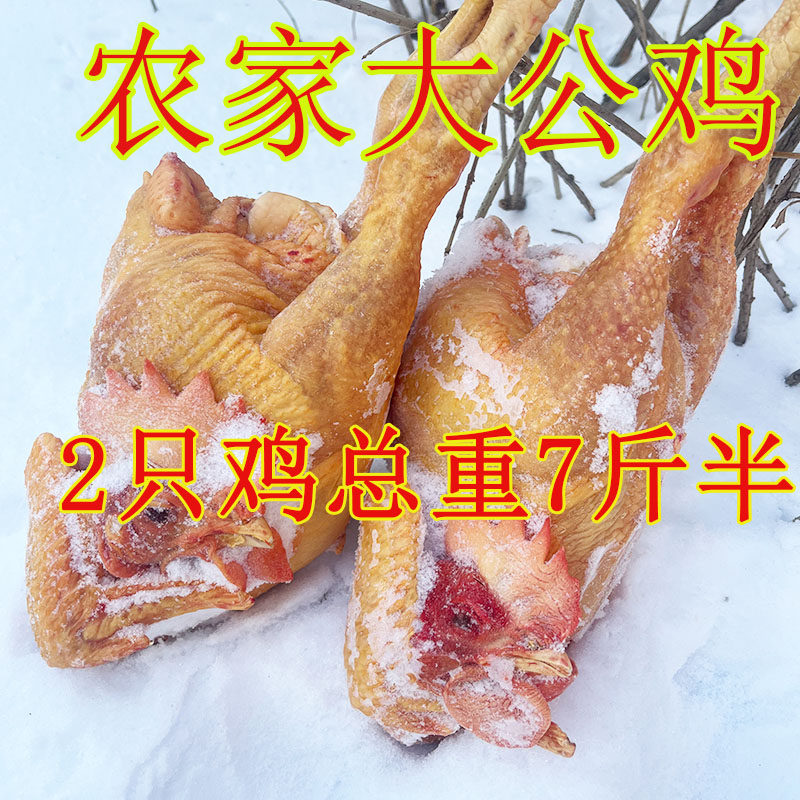 散养大公鸡农家散养冷冻