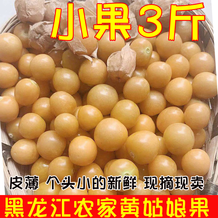 小果3斤东北姑娘果新鲜水果整箱当季黄金豆黄菇娘甜灯笼果包邮