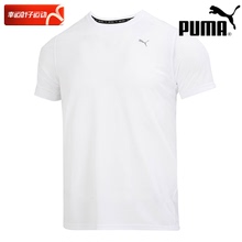 Puma彪马速干短袖男夏季新款白色运动健身半袖体恤跑步透气孔t恤