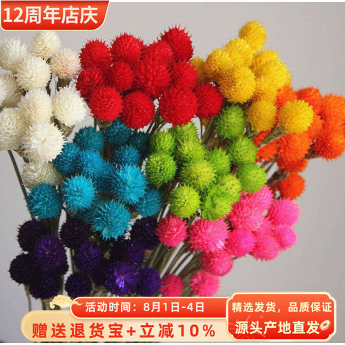 田园风千日红干花花万家装饰