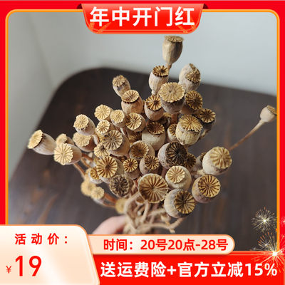 干花虞美人礼品植物干果diy