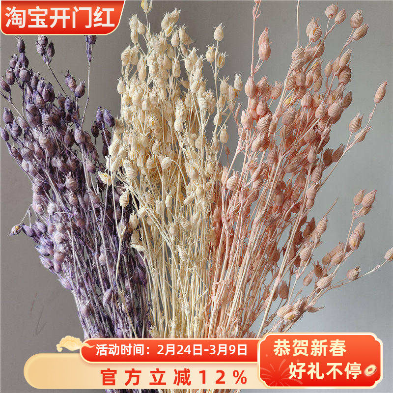 蝇子草干花ins婚庆家居装饰仿真花卉diy插花配材干果真花拍摄花束