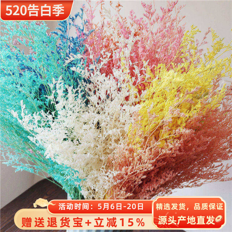 永生花摆件情人草白色树枝客厅花艺真花家居装饰拍摄云南漂色浅色