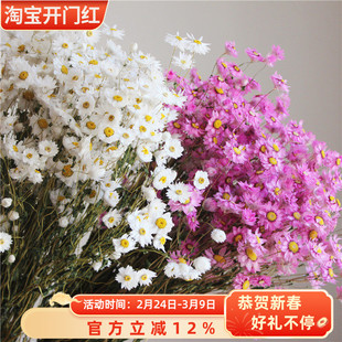 鲁丹鸟天然真花罗丹斯云南真干花家居装饰客厅ins北欧风野餐拍摄