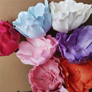 通草大百合花香氛家居装饰插花玉兰花通草干花手工扩香婚礼布置