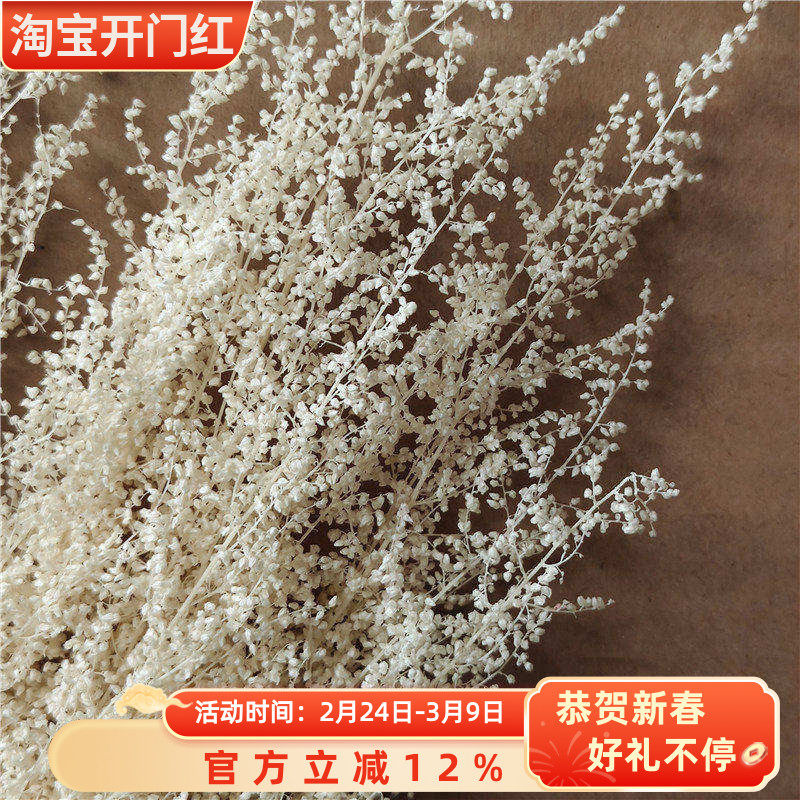 永生花米蒿草花干花花束家居摆件婚礼装饰香薰蜡烛花材diy材料包