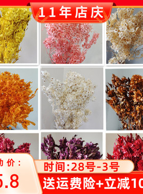 永生花迎客豆蝴蝶花装饰干花家居店铺民宿软装插花配花喜庆年花