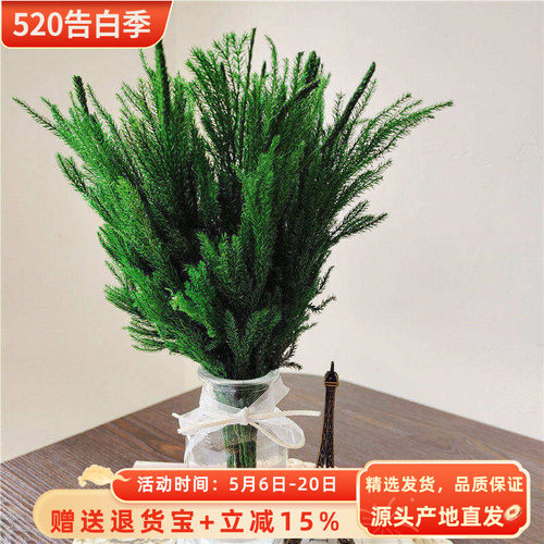 石松家居装饰插花永生花云南软装