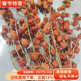 单个酸浆果干花灯笼花高级感真花家居装饰圣诞节果实类花束