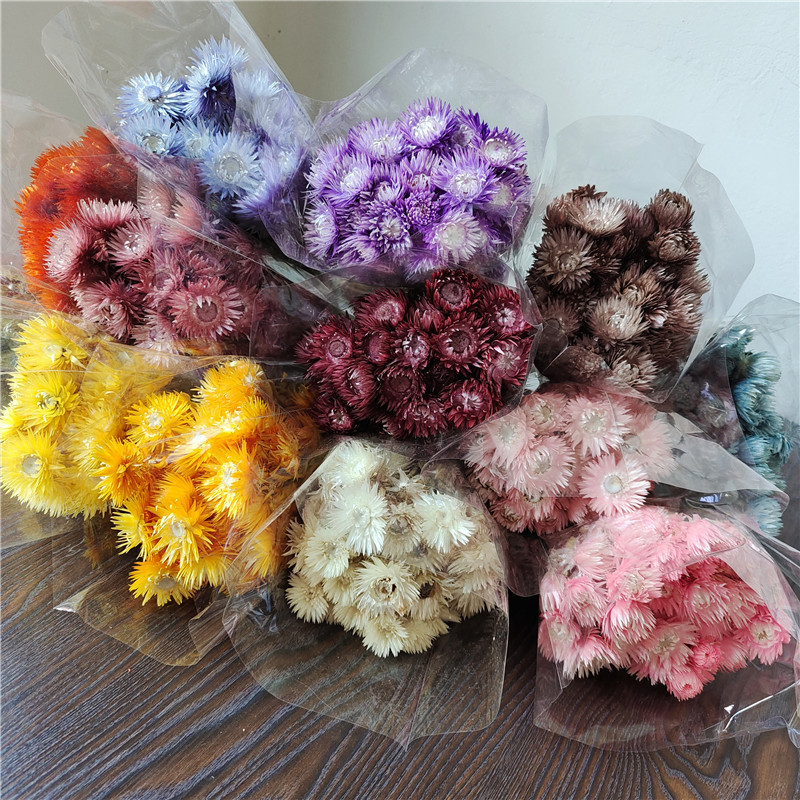 旱雪莲干 干燥花花束岩石花进口家居民宿装饰插花雏菊拍摄道具真