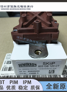 SKIIP613GB123CT SKIIP603GB123CT SKIIP513GB173CT 513GB172CT