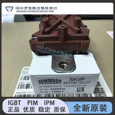 SKIIP613GB123CT SKIIP603GB123CT SKIIP513GB173CT 513GB172CT