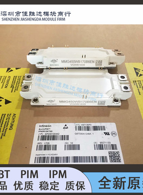 MMG450WB170B MMG450WB170B6EN MMG600WB170B6EN MMG300WB170B