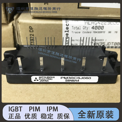 全新现货模块PM30CSJ060 PM10CSJ060 PM15CSJ060 PM20CSJ060