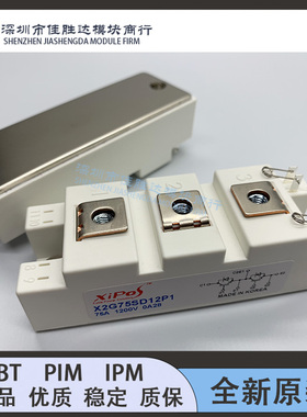 X2G75SD12P1 X2G50SD12P1 X2G100SD12P1 X2G100SD12P3 X2G75SD1新