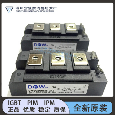 DM2G150SH12AE DM2G200SH12AE DM2G150SH120AE DM2G300SH12AE原装