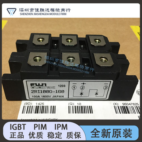 2RI100G-160 2RI100E-080 2RI60G-160 DD100KB160 DD60HB/GB160