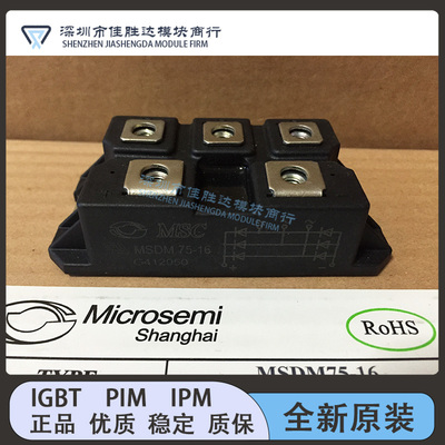 MSDM100-16 MSDM50-16 MSDM75-16 MMD100EB160X MMD75EB160X 现货