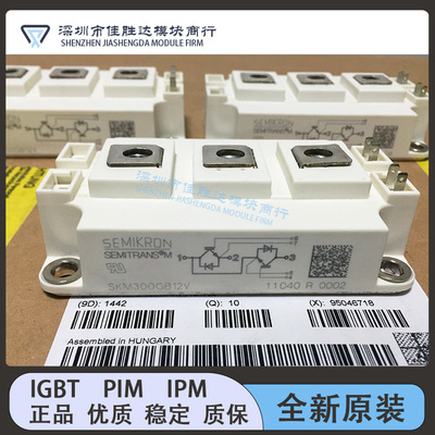 SKM200GB124D SKM200GB125D SKM100GB126D SKM300GB12V SKM75GB