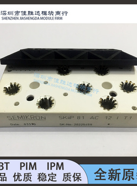 SKIIP83AC12IT1 SKIIP82AC12IT1 SKIIP81AC12IT1 SKIIP83EC125T1