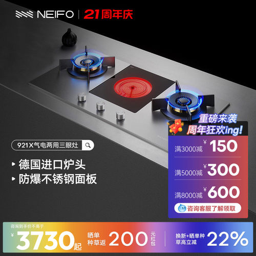 NEIFO/内芙进口气电两用燃气灶