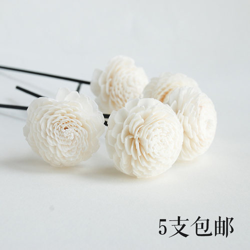 香薰藤条 通草干花 无火香薰精油补充液家居香氛挥发棒 香熏配件 - 封面