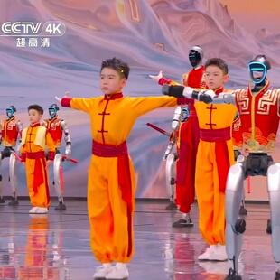 2026春晚武BOT同款 武术服武校少儿练功服春节机器人伴舞演出服装
