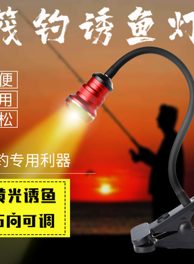 艾菲乐斯筏钓鱼灯夹式桥钓灯筏钓黄光灯诱鱼灯夜钓灯竿稍灯上饵灯