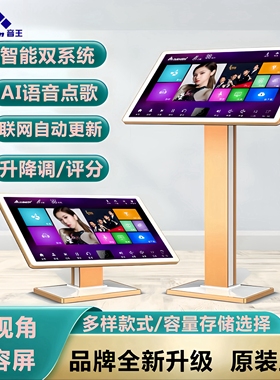 InAndOn音王点歌机一体机KTV分体机家庭点唱机K歌卡拉OK家用