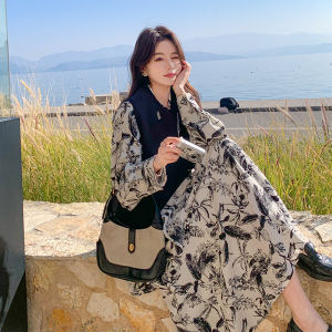 休闲风秋季时尚时尚套装通勤连衣裙通勤风新中式法式印花套装碎花图片