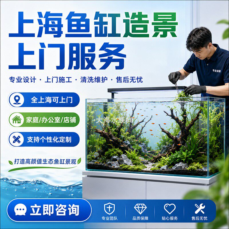 上海上门鱼缸造景维护清洁清洗水草布景养护维修水族箱清理海缸