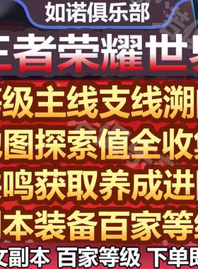 王者荣耀世界代打代练代肝等级地图探索值剧情主线支线溯闻百家