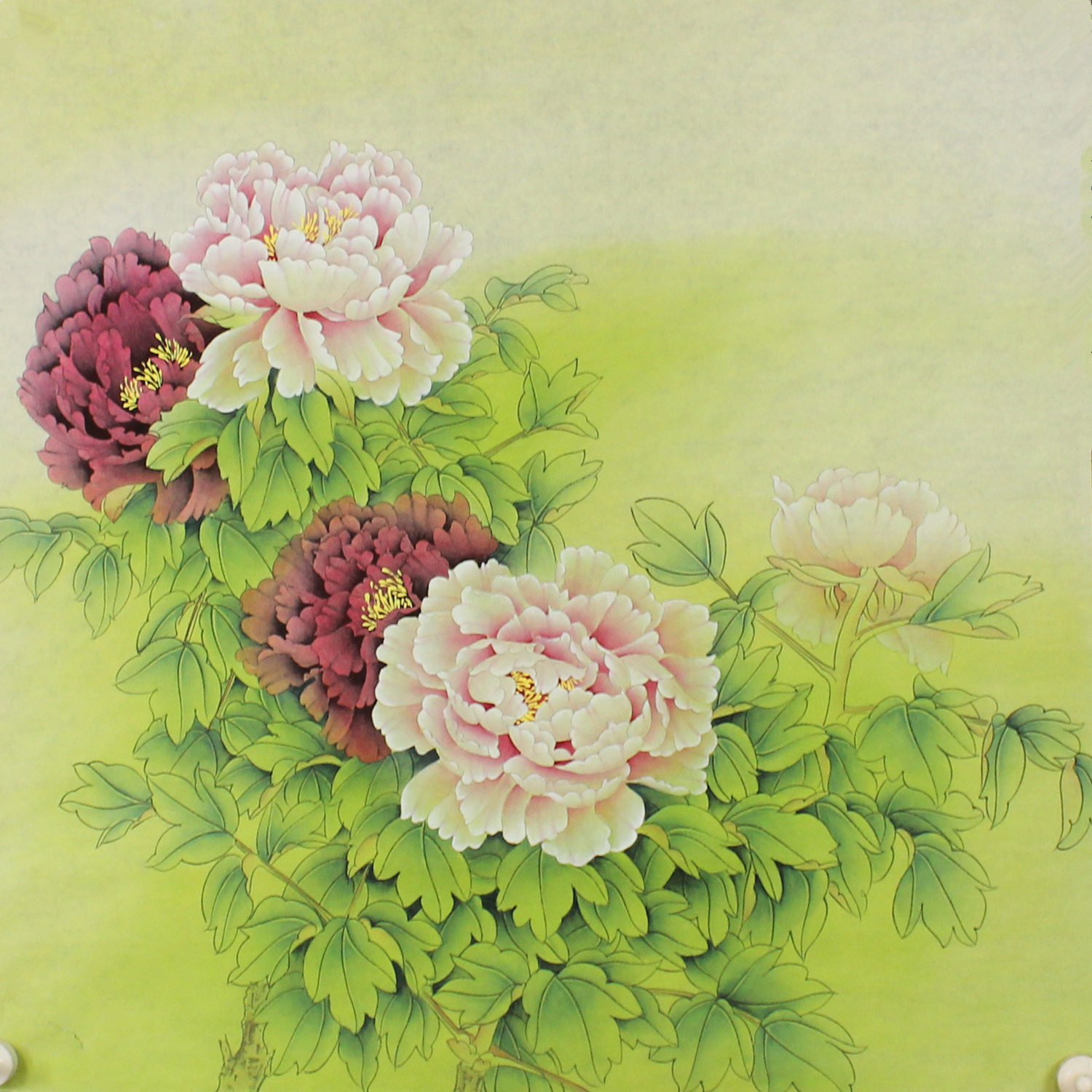 精品工笔牡丹图纯手绘国画花鸟画客厅书房玄关装饰画挂画未裱字画图片
