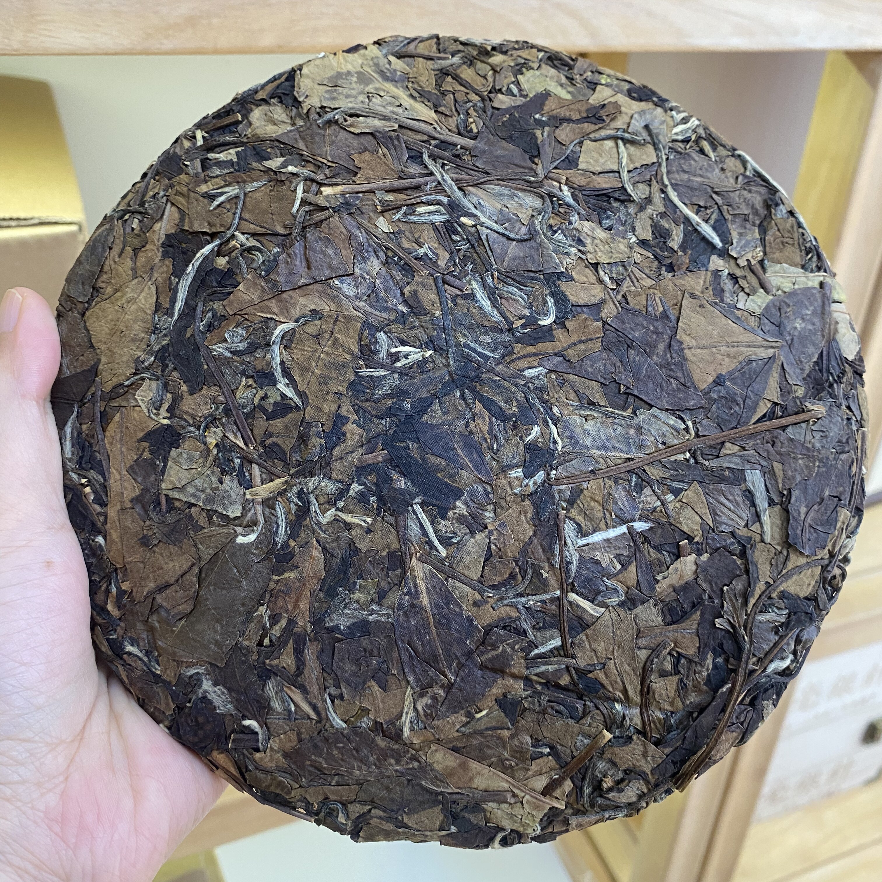 大洋山茶业福鼎白茶2019年磻溪高山纯日晒寿眉老茶饼茶叶老白茶