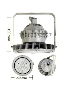 GRD98免维护LED防爆工厂灯(50W) 原厂井下照明设备