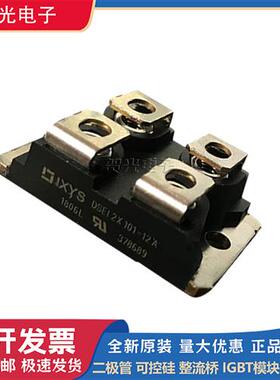 艾赛斯二极管模块DSEI2X101-06A DSEI2X101-12A