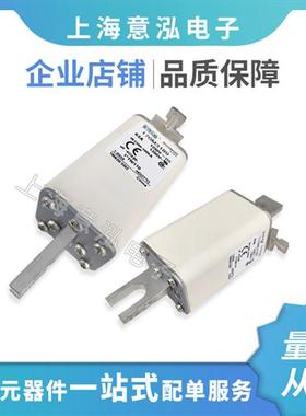巴斯曼bussmann 170M3189 熔断器快熔保险丝 全系列现货直拍