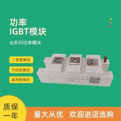 全新功率IGBT模块SKM100GAL17E4 SKM200GAL17E4  SKM400GAL17E4