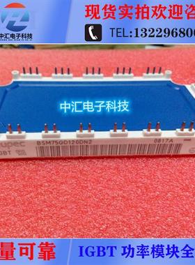 BSM50GD120DN2 BSM75GD120DN2 BSM100GD120DN2 BSM100GD60DLC