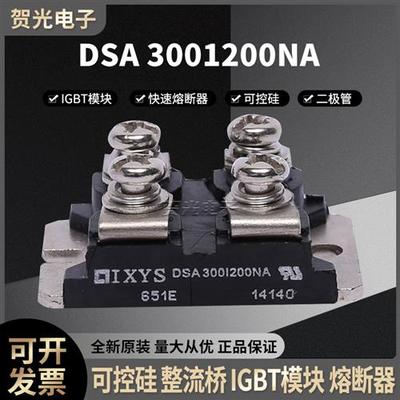 全新功率整流二极管模块 DSA300I200NA  低价直销 快速发货